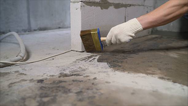 SJ Waterproofing Pros Waterproofing coverage map for Mecosta, MI and surrounding area